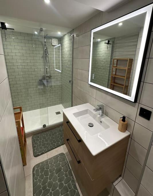 Le Briand Appartement 4Etoiles Nancy Thermal Cosy Avec Terrasse Wifi ภายนอก รูปภาพ