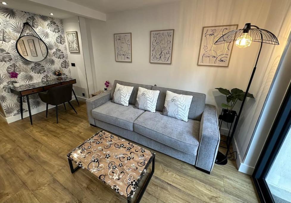 Le Briand Appartement 4Etoiles Nancy Thermal Cosy Avec Terrasse Wifi ภายนอก รูปภาพ