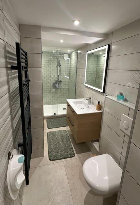 Le Briand Appartement 4Etoiles Nancy Thermal Cosy Avec Terrasse Wifi ภายนอก รูปภาพ